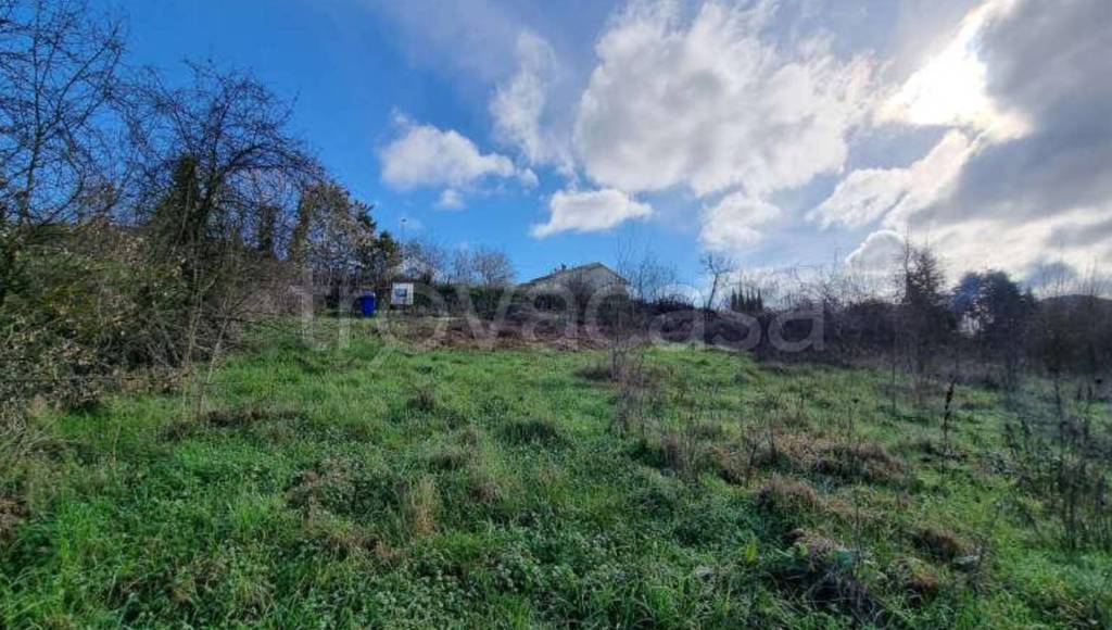 immagine annuncio 5 di 11