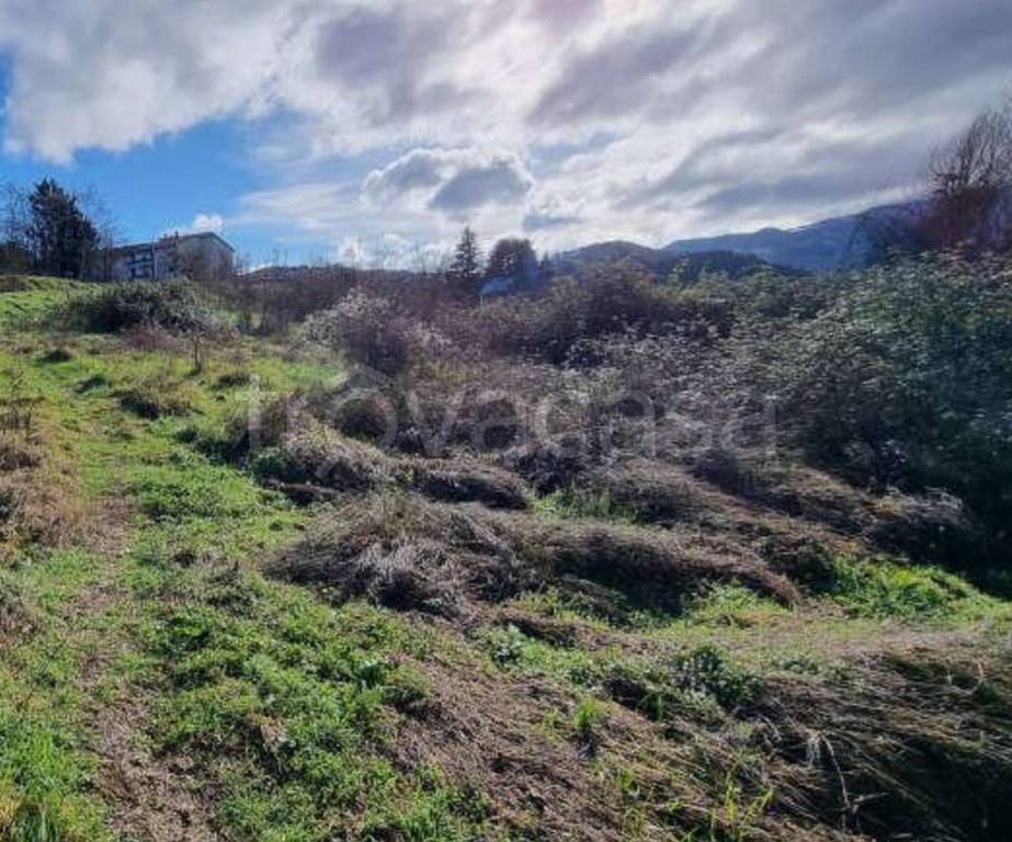 immagine annuncio 8 di 11