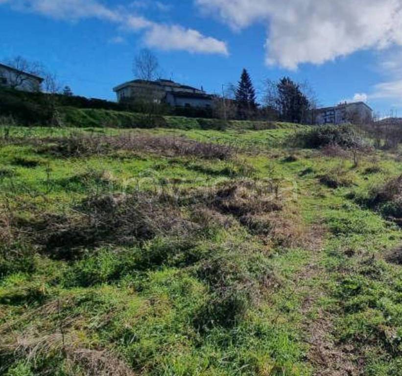 immagine annuncio 9 di 11