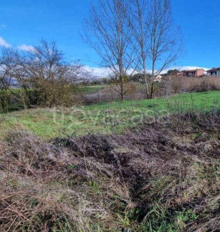 immagine annuncio 10 di 11