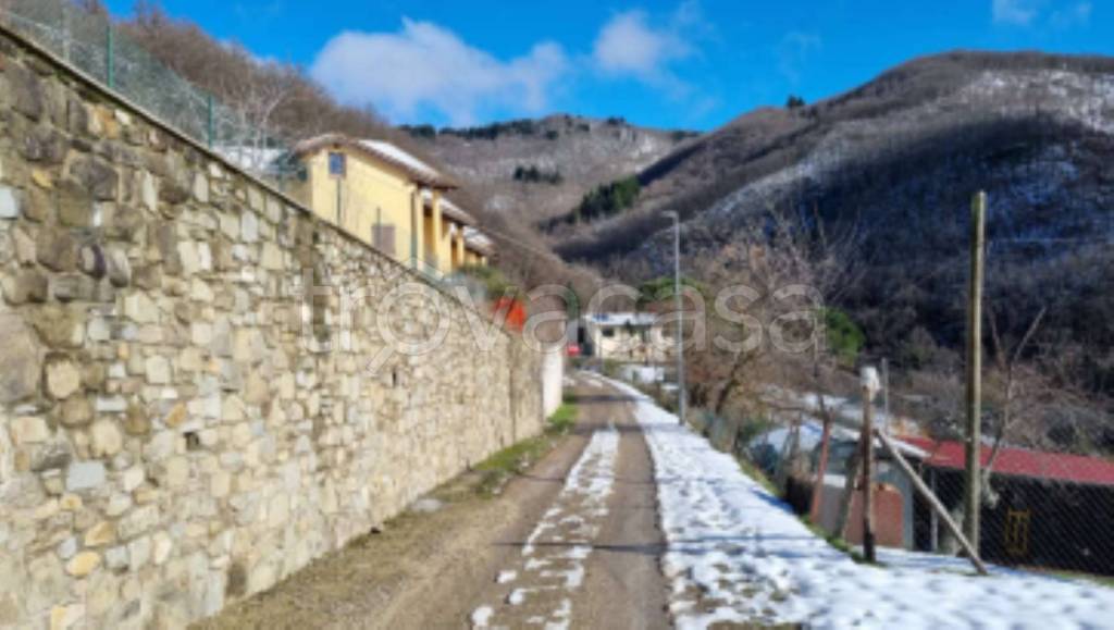 immagine annuncio 4 di 11