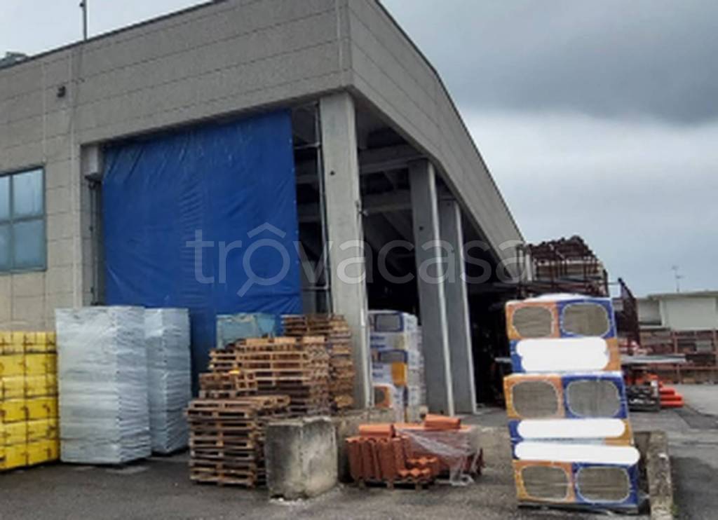 immagine annuncio 1 di 9