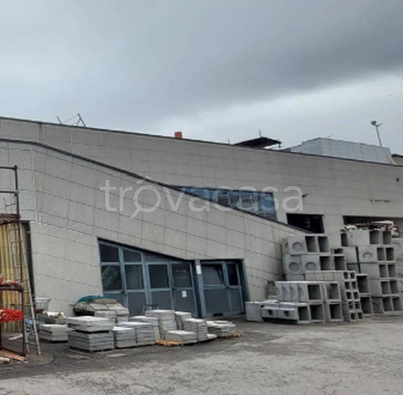 immagine annuncio 3 di 9