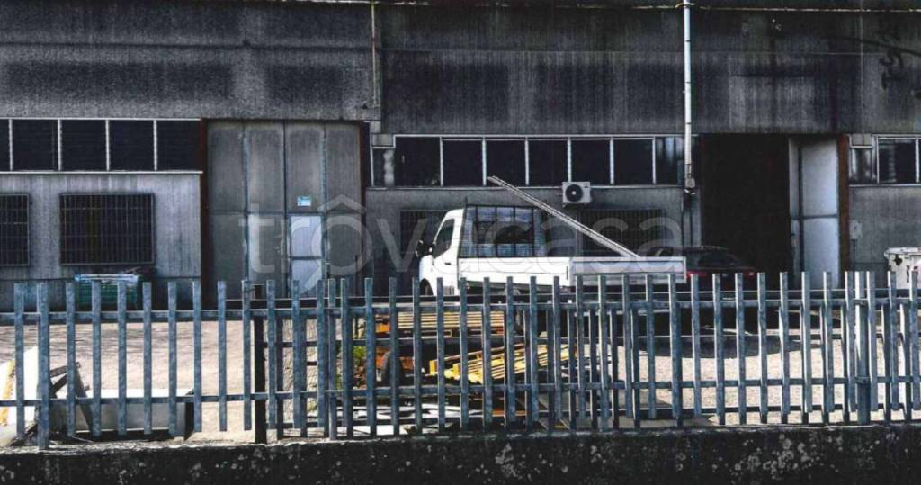 immagine annuncio 2 di 13