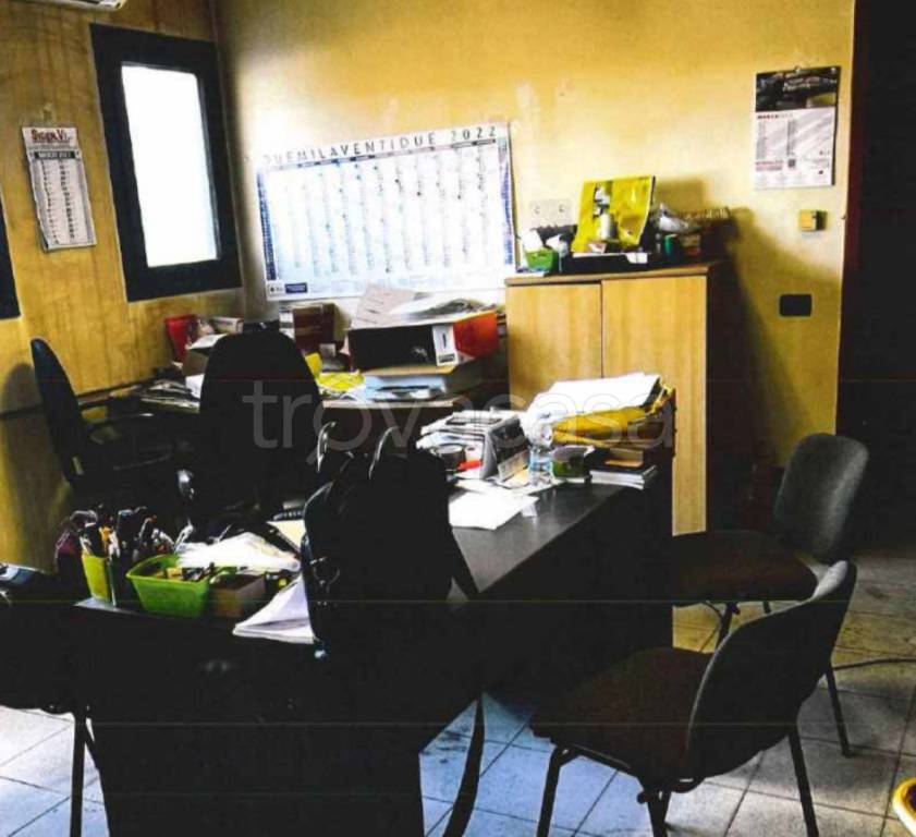 immagine annuncio 7 di 13