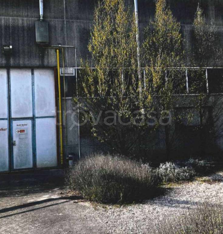 immagine annuncio 9 di 13