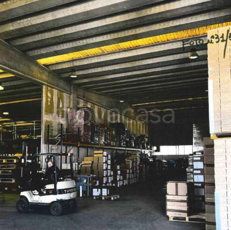 immagine annuncio 11 di 13