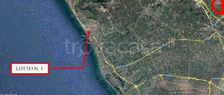 immagine annuncio 6 di 11