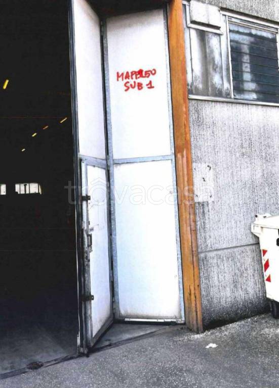 immagine annuncio 3 di 13