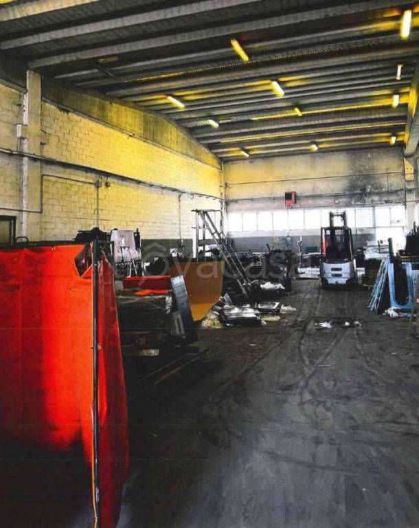 immagine annuncio 5 di 13