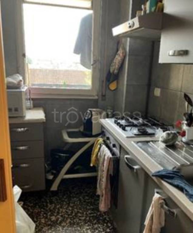 immagine annuncio 5 di 13