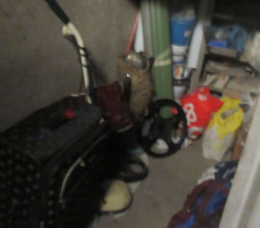 immagine annuncio 12 di 13