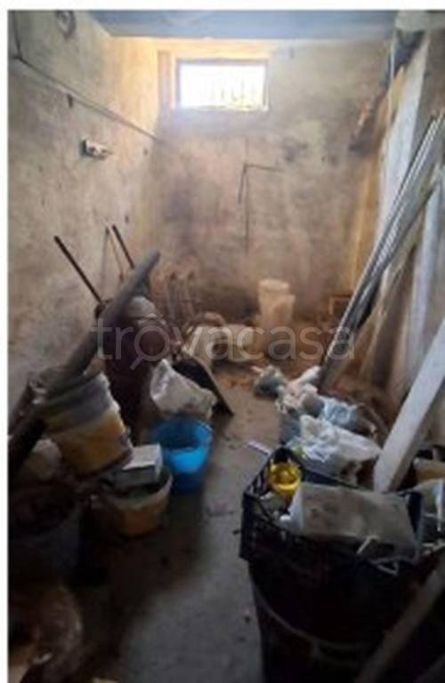 immagine annuncio 11 di 14