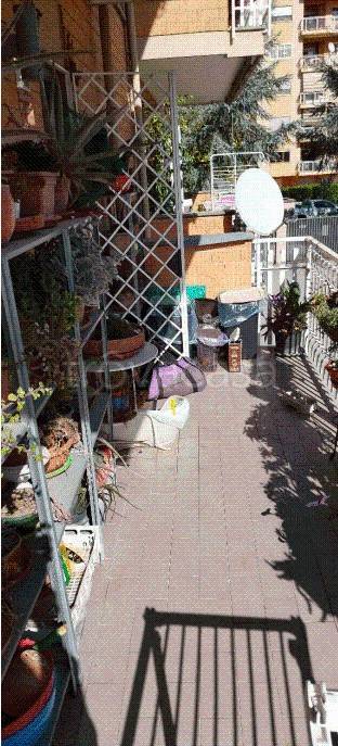 immagine annuncio 11 di 14