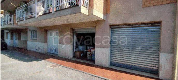 immagine annuncio 12 di 14