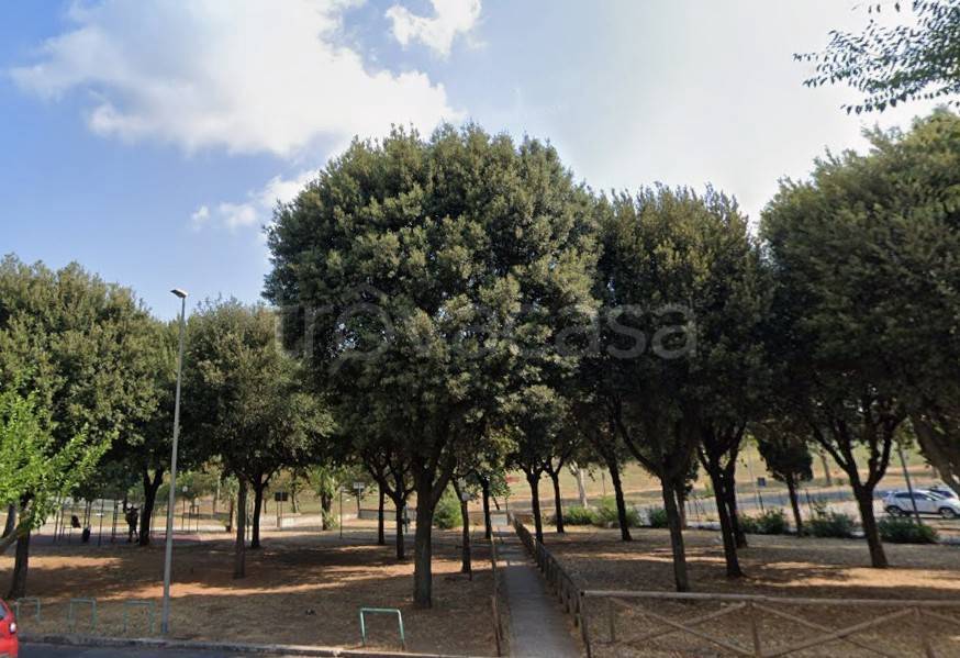 immagine annuncio 6 di 7