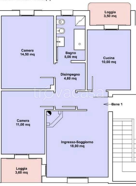 immagine annuncio 14 di 15