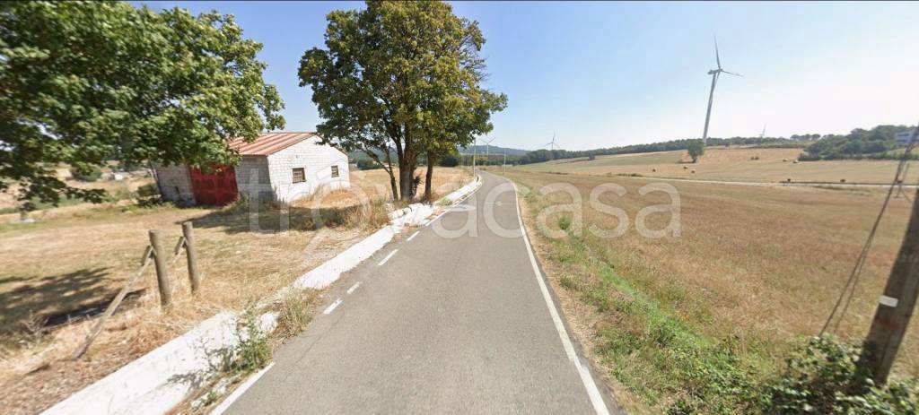 immagine annuncio 5 di 14