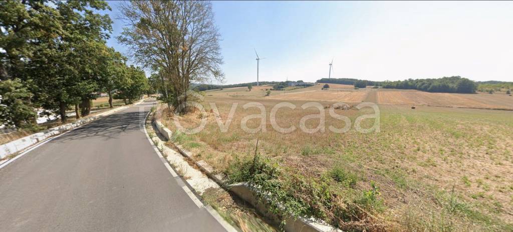 immagine annuncio 7 di 14