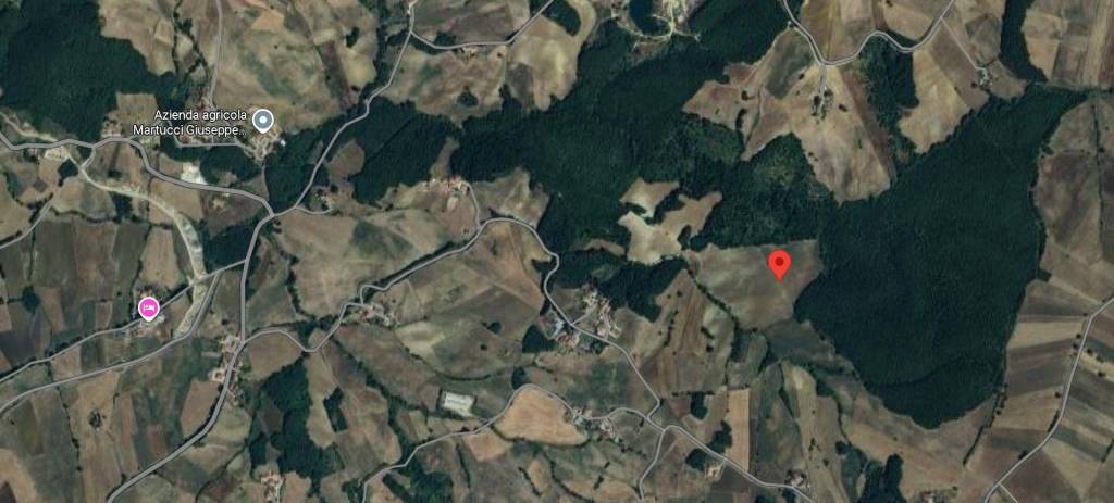 immagine annuncio 12 di 14