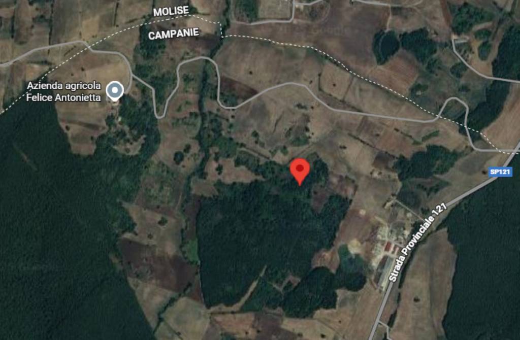 immagine annuncio 3 di 12