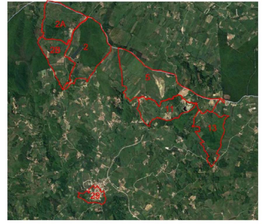 immagine annuncio 7 di 12