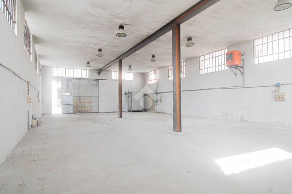 immagine annuncio 1 di 14