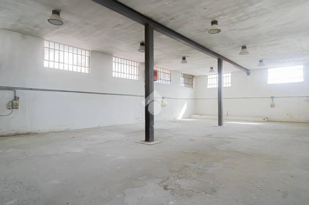 immagine annuncio 3 di 14