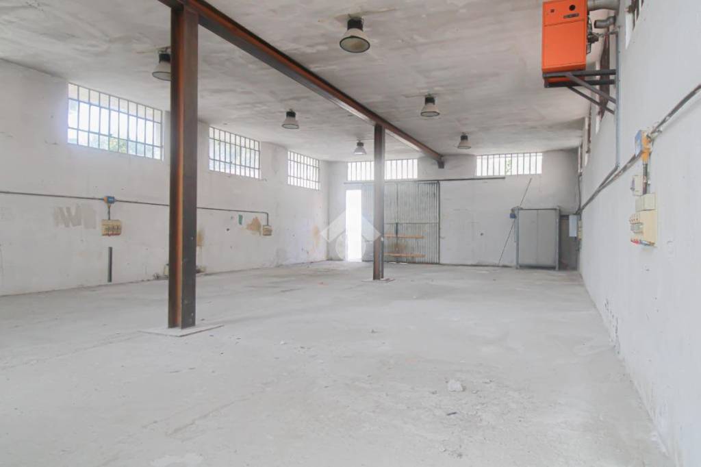 immagine annuncio 6 di 14