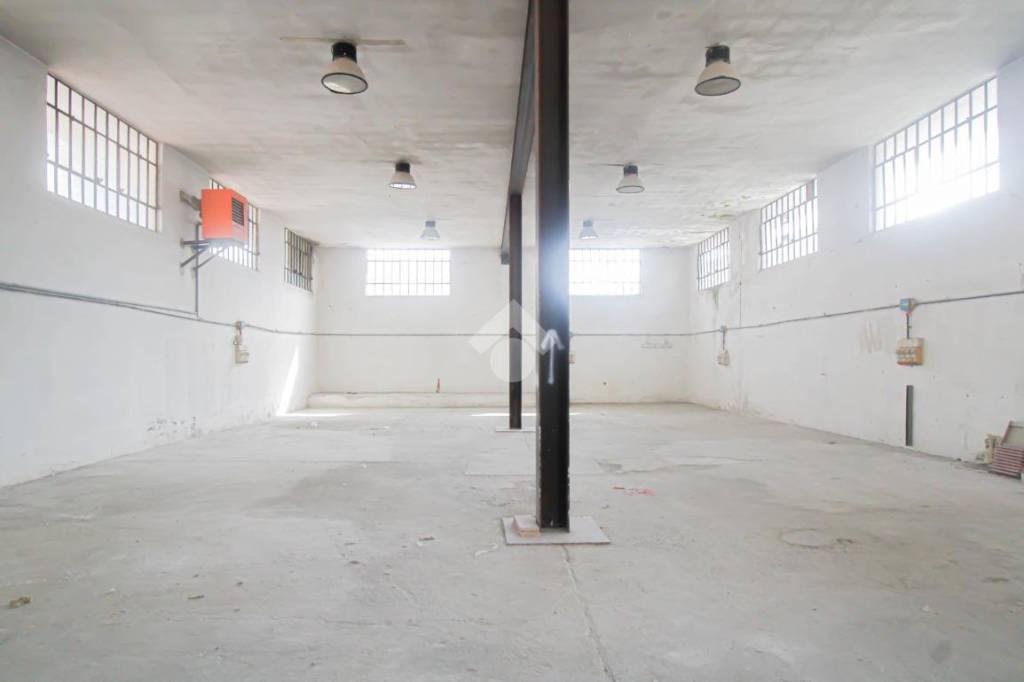 immagine annuncio 7 di 14