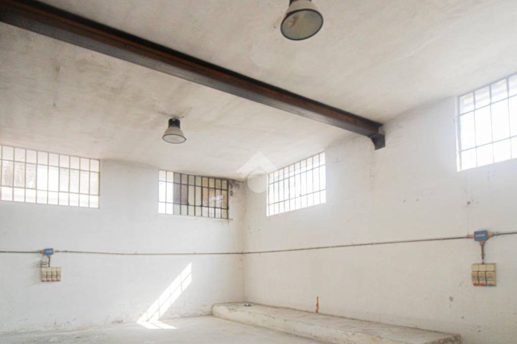 immagine annuncio 9 di 14