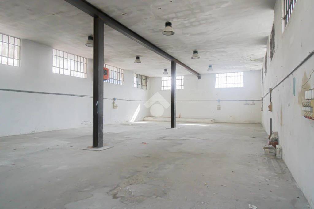 immagine annuncio 10 di 14