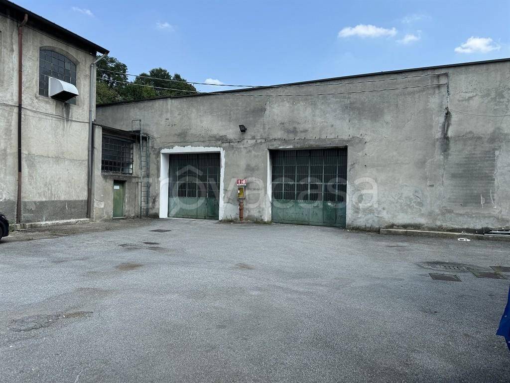 immagine annuncio 5 di 8