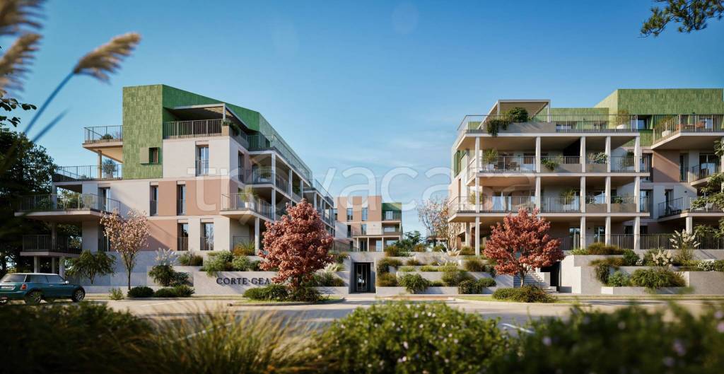 immagine annuncio 6 di 14