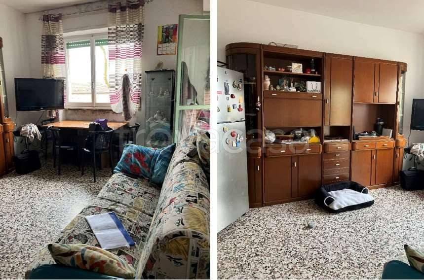 immagine annuncio 2 di 8