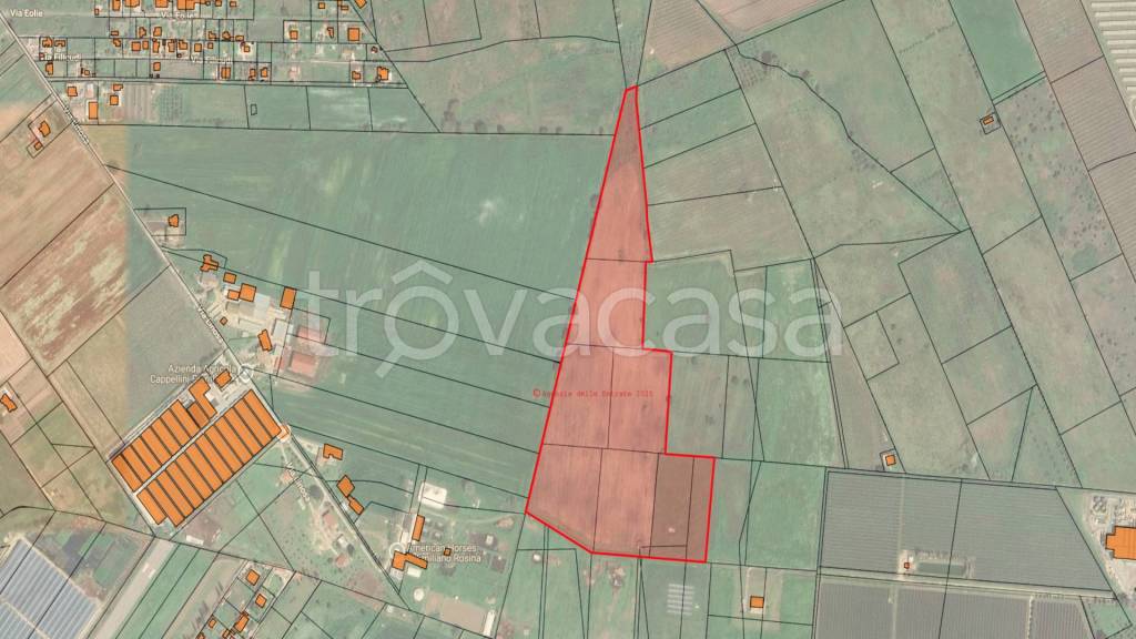 immagine annuncio 6 di 9