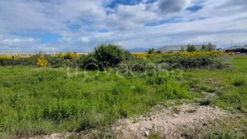 immagine annuncio 2 di 11