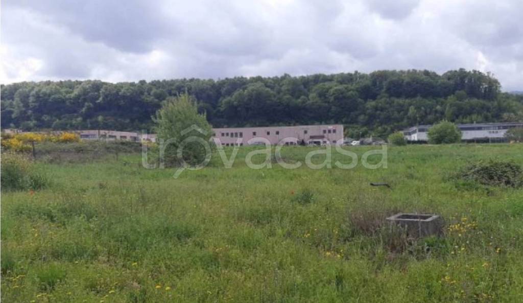 immagine annuncio 3 di 11