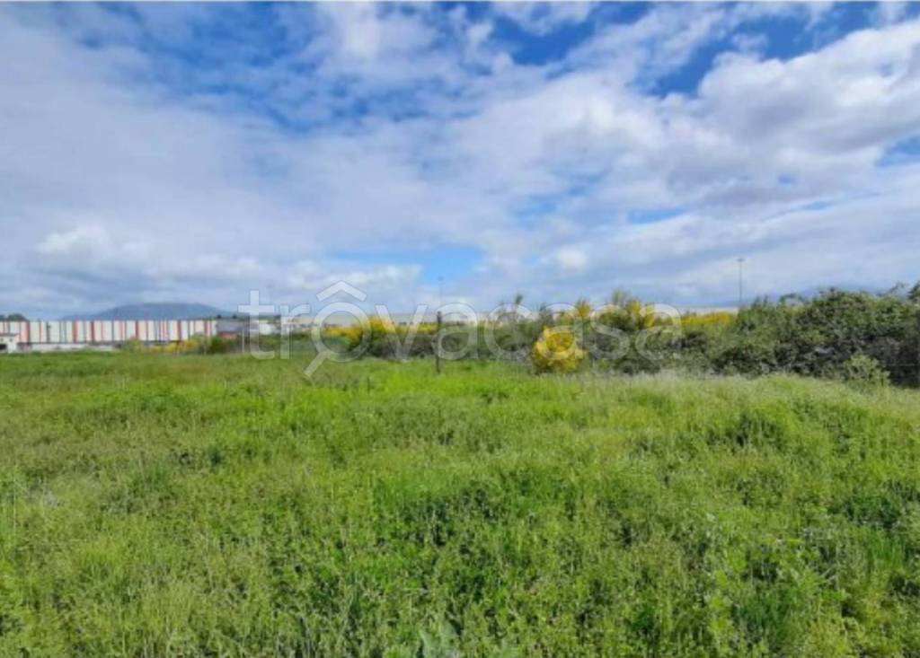 immagine annuncio 4 di 11