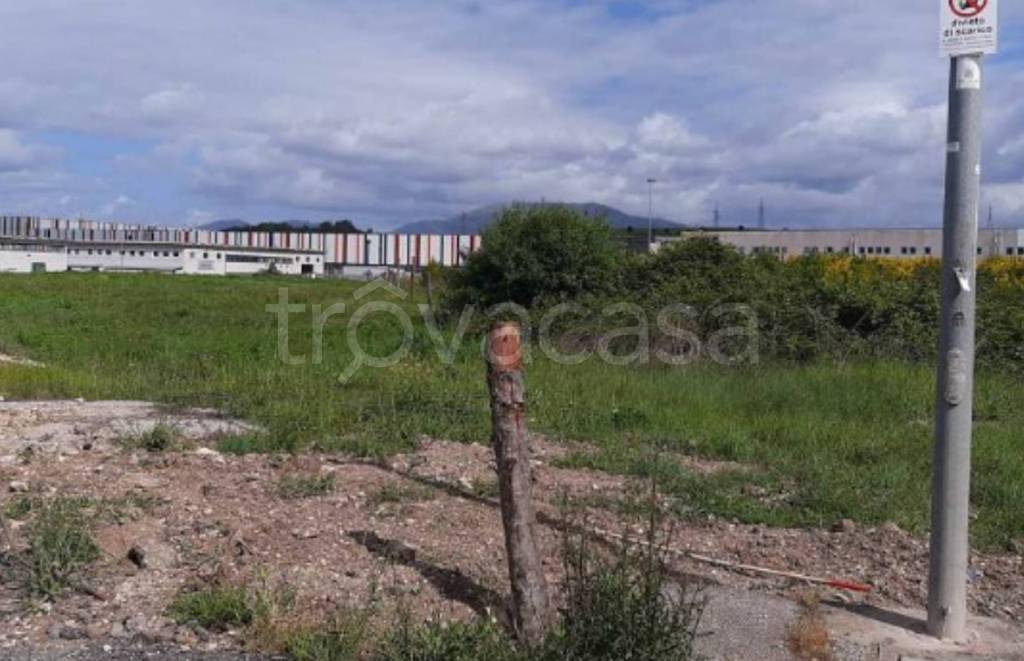 immagine annuncio 6 di 11