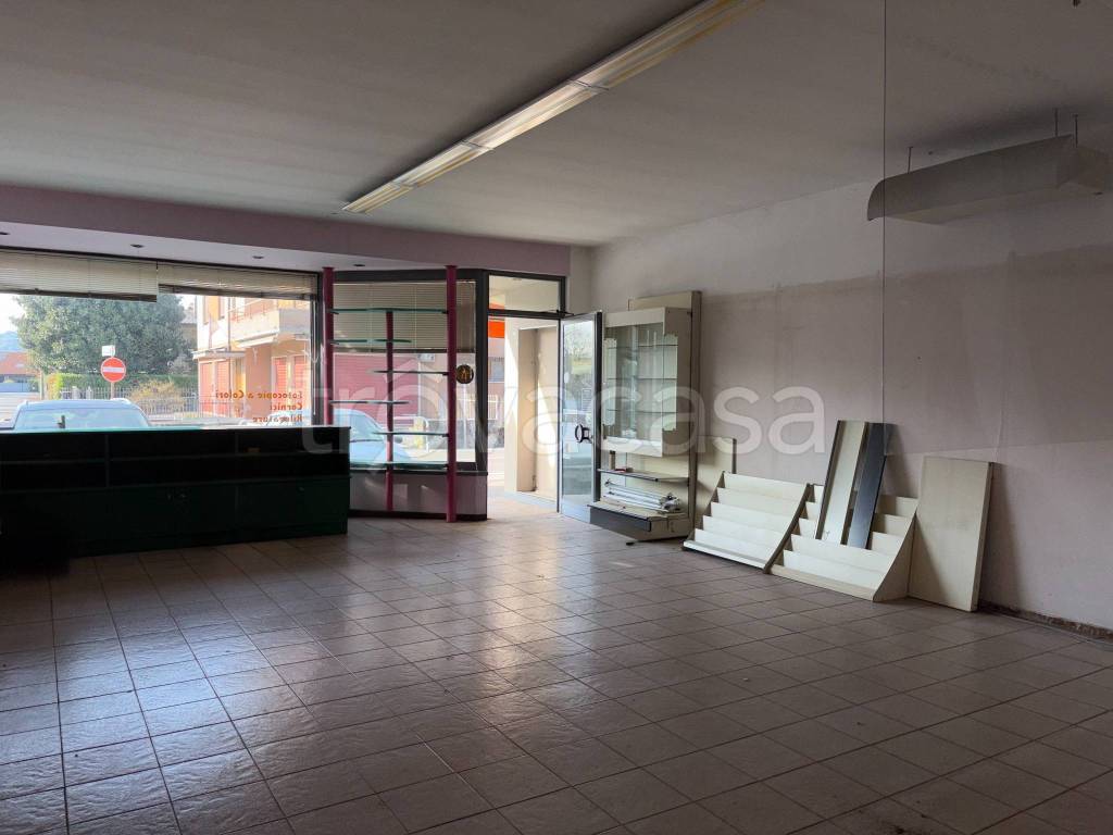 immagine annuncio 1 di 8