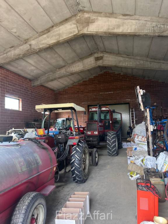 immagine annuncio 2 di 4