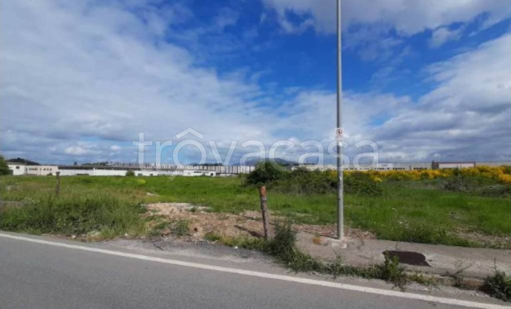 immagine annuncio 8 di 11