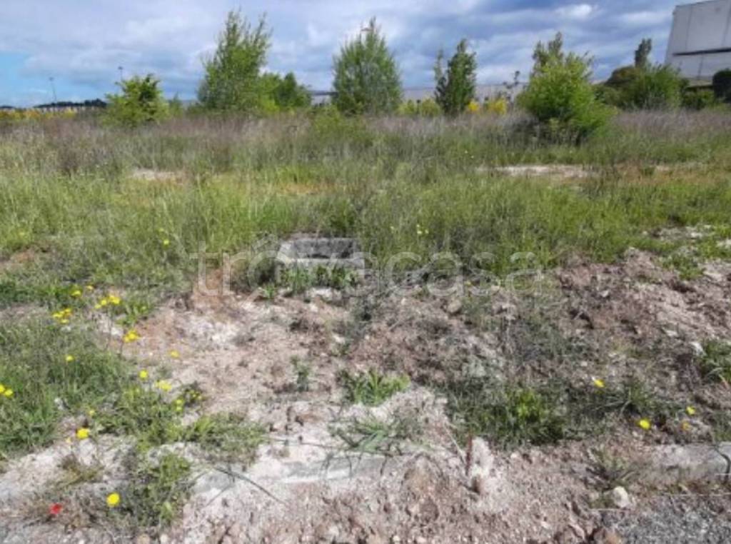 immagine annuncio 9 di 11