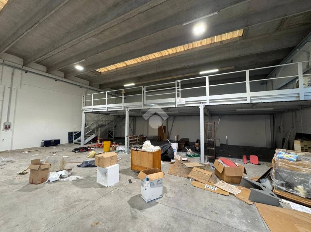 immagine annuncio 2 di 12