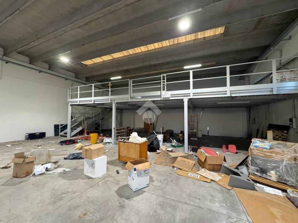 immagine annuncio 3 di 12