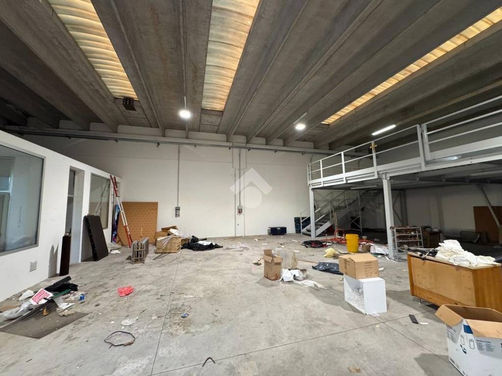 immagine annuncio 4 di 12