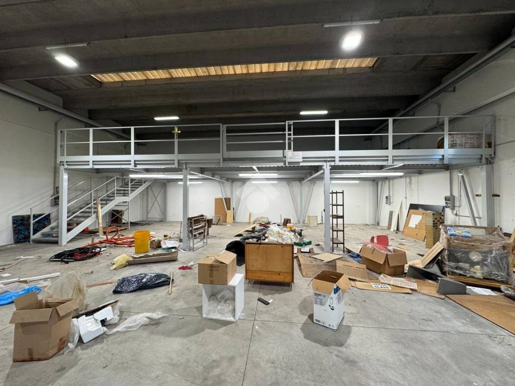 immagine annuncio 5 di 12