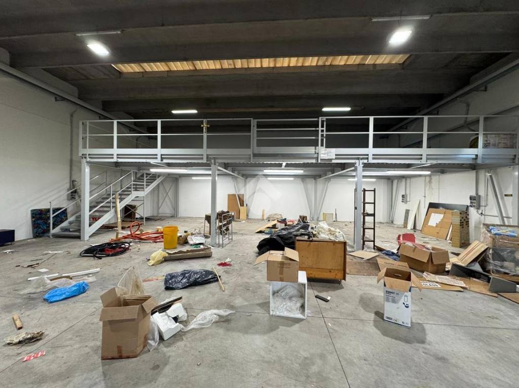 immagine annuncio 6 di 12