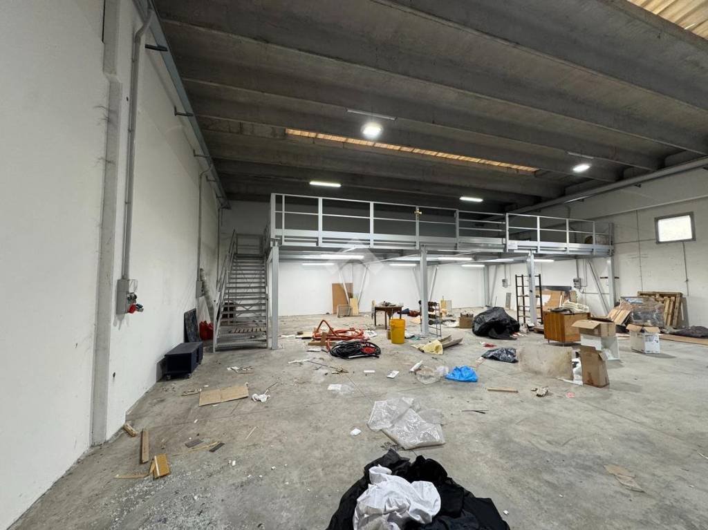 immagine annuncio 7 di 12